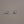 Load image into Gallery viewer, PacBay Hard wire single foot fly guides (chrome)